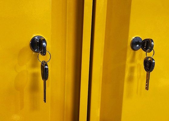 ซื้อ ตู้เก็บสารเคมีขนาด 109x46x123CM, 109x46x165CM และ 109x86x165CM สําหรับการเก็บสารอันตราย การผลิตออนไลน์